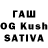 Галлюциногенные грибы GOLDEN TEACHER Roman Katyshev