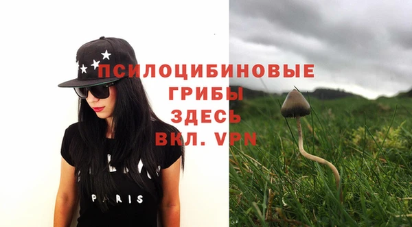 метамфетамин Алексеевка