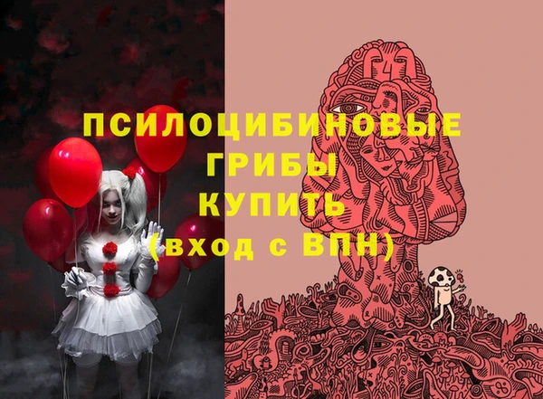 соль ск Алексин