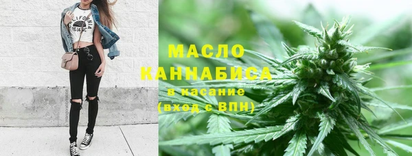 соль ск Алексин