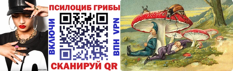 Псилоцибиновые грибы Cubensis  Снежногорск 